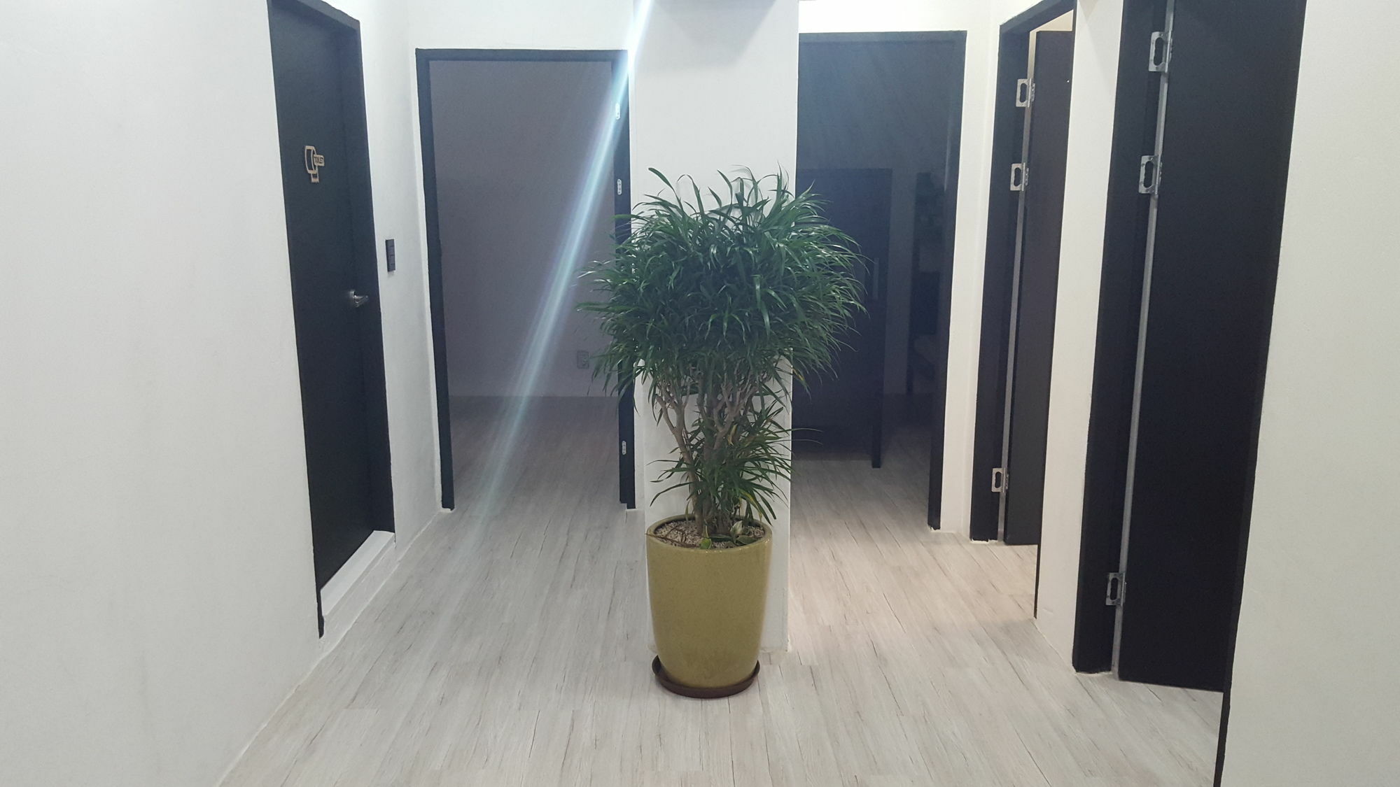 Amazon Guesthouse Seoul Exteriör bild
