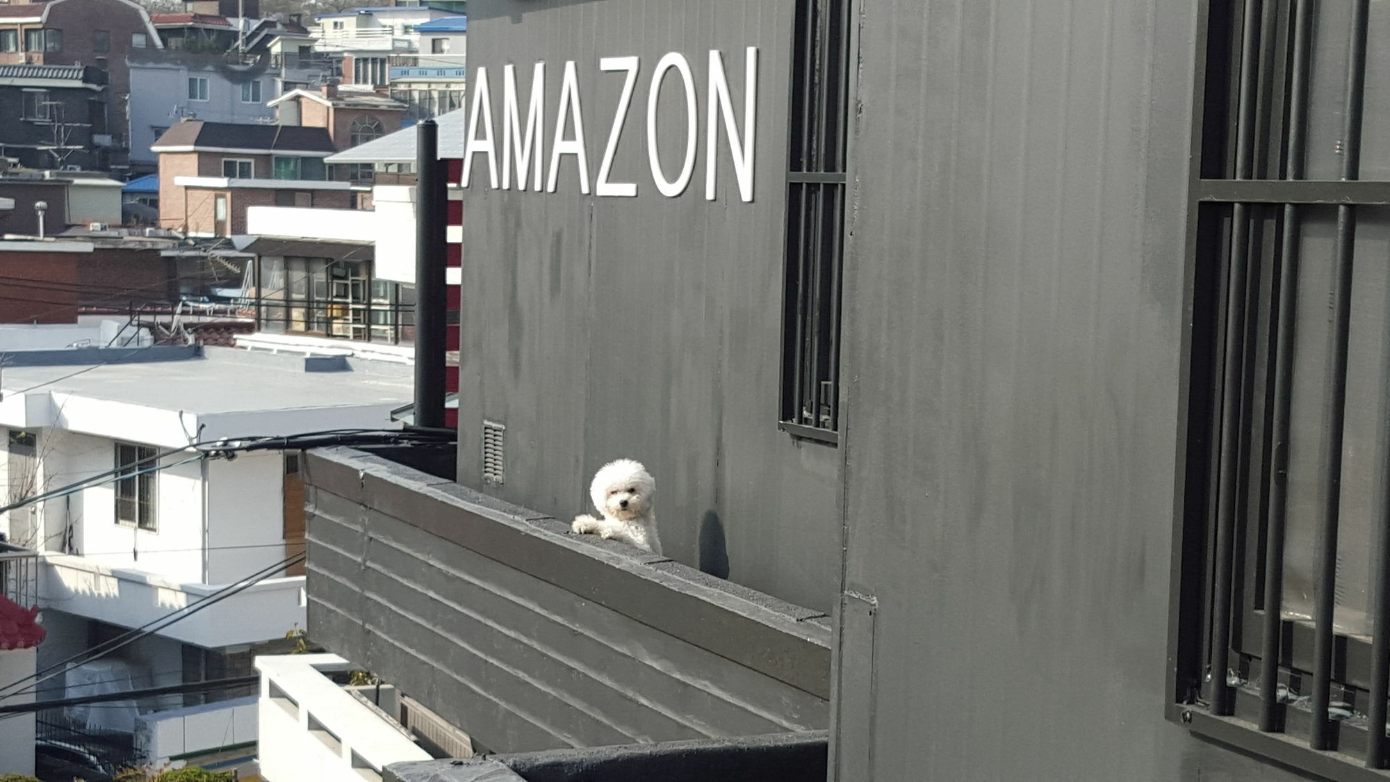 Amazon Guesthouse Seoul Exteriör bild